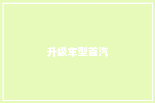 升级车型首汽