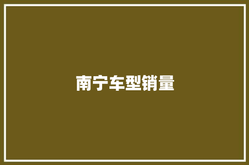 南宁车型销量