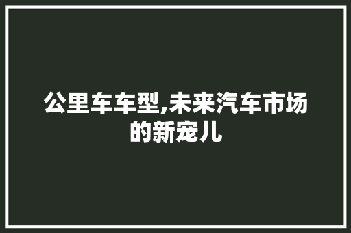 公里车车型,未来汽车市场的新宠儿