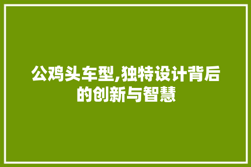 公鸡头车型,独特设计背后的创新与智慧