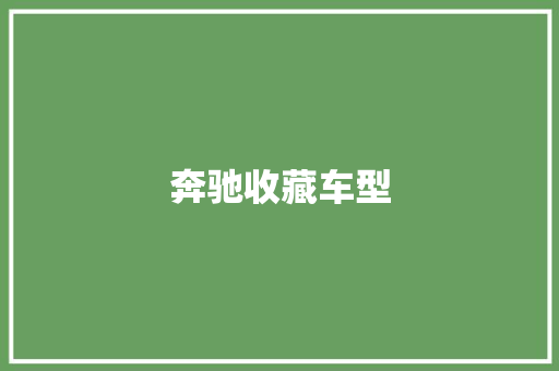 奔驰收藏车型