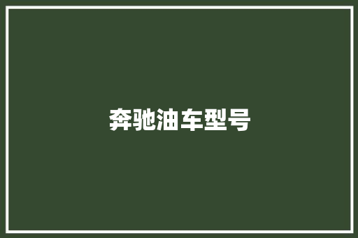 奔驰油车型号