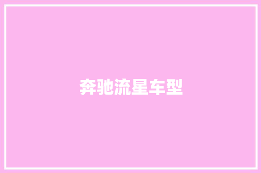 奔驰流星车型 新款车型