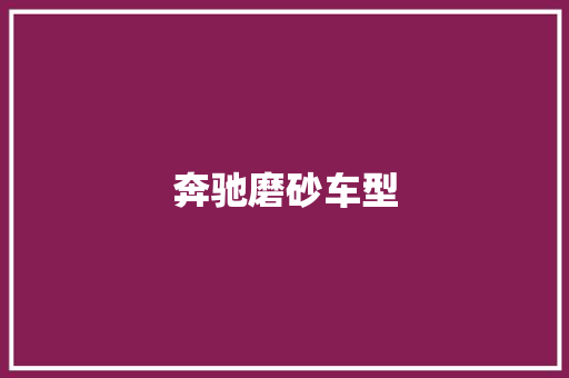奔驰磨砂车型