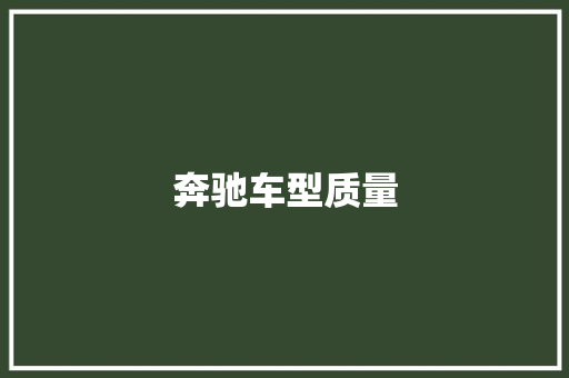 奔驰车型质量
