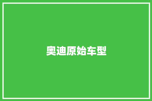 奥迪原始车型