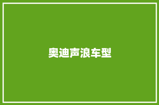 奥迪声浪车型