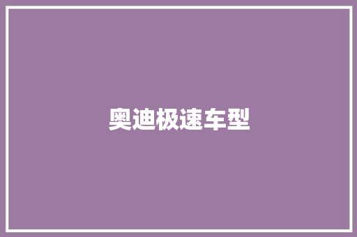 奥迪极速车型