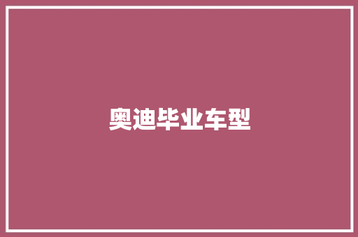 奥迪毕业车型