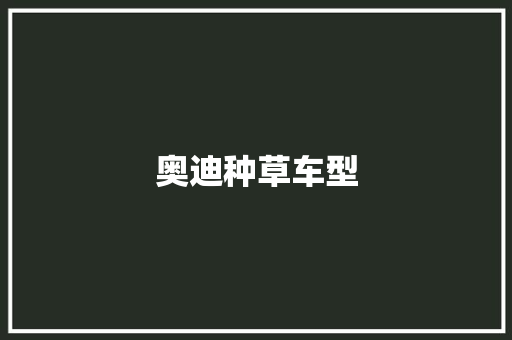 奥迪种草车型