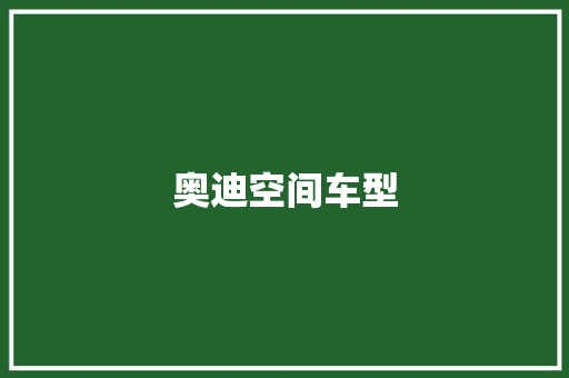 奥迪空间车型