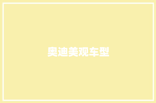 奥迪美观车型