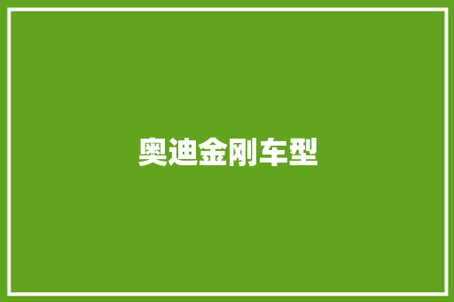 奥迪金刚车型