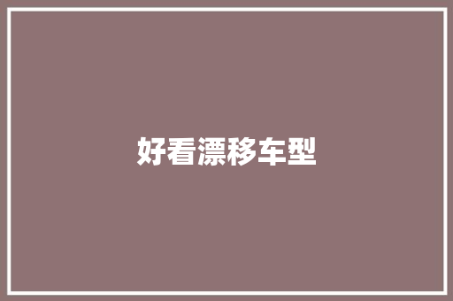 好看漂移车型