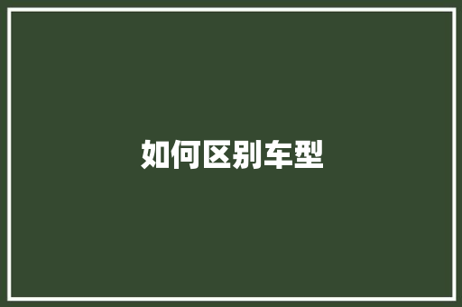 如何区别车型