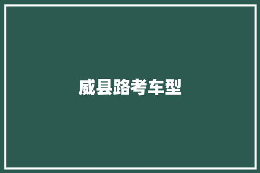 威县路考车型