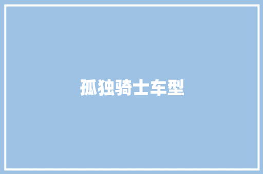 孤独骑士车型