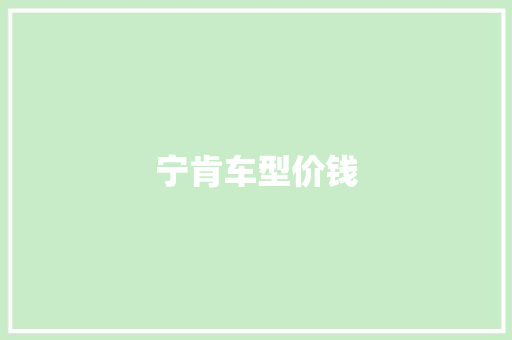 宁肯车型价钱