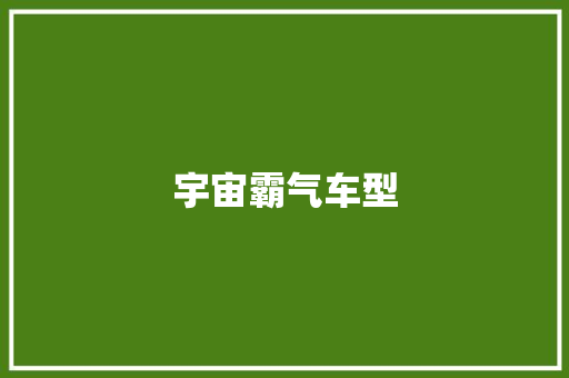 宇宙霸气车型