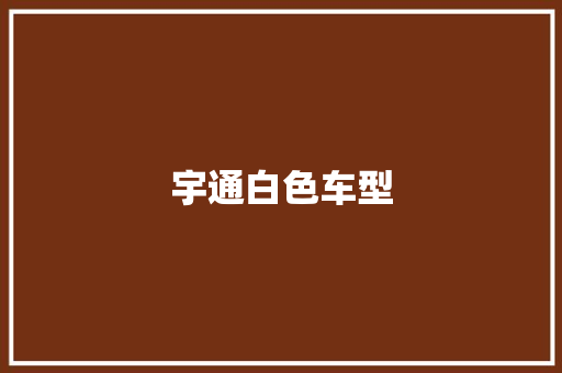 宇通白色车型 变速箱配件
