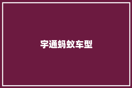 宇通蚂蚁车型