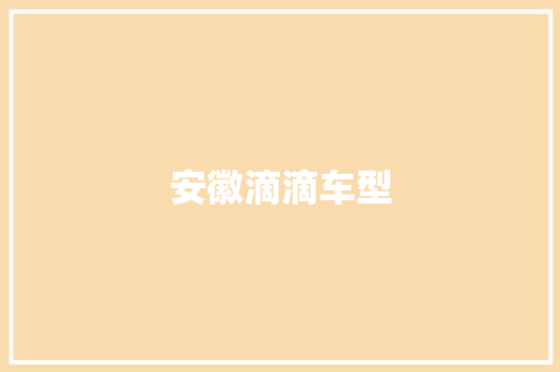 安徽滴滴车型