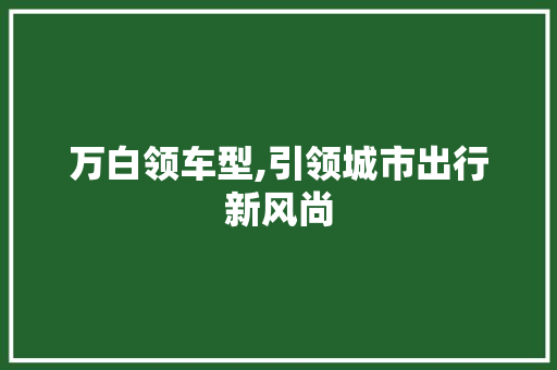 万白领车型,引领城市出行新风尚