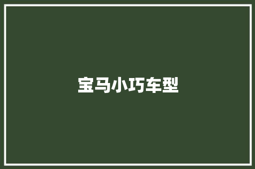 宝马小巧车型