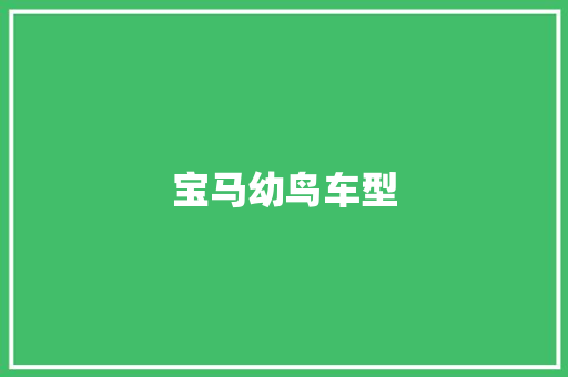 宝马幼鸟车型