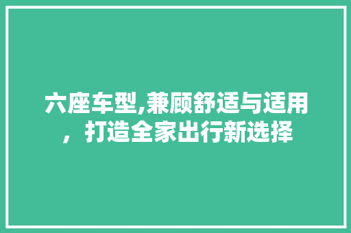 六座车型,兼顾舒适与适用，打造全家出行新选择