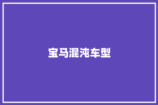 宝马混沌车型