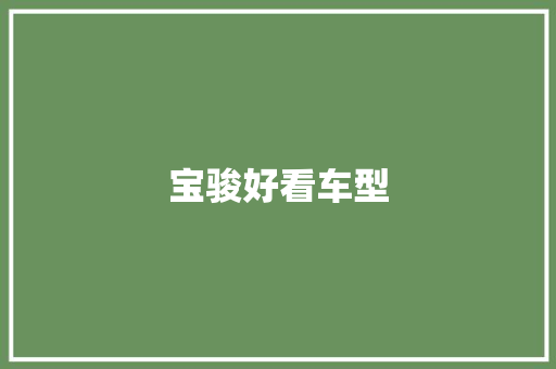 宝骏好看车型