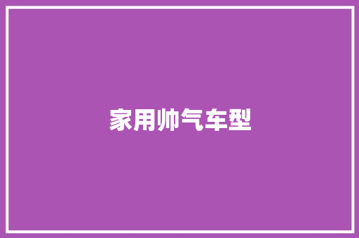 家用帅气车型