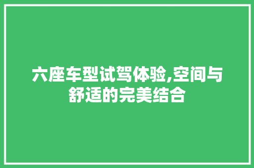 六座车型试驾体验,空间与舒适的完美结合