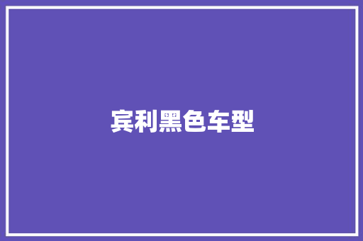 宾利黑色车型