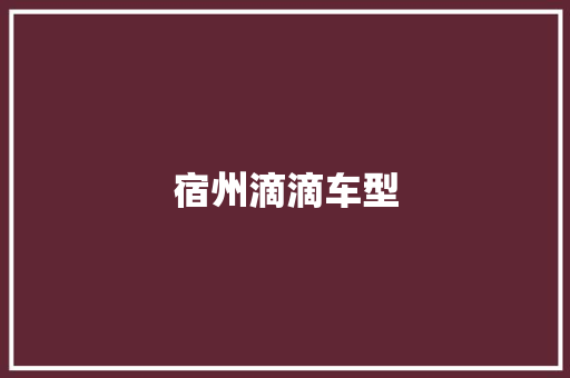 宿州滴滴车型