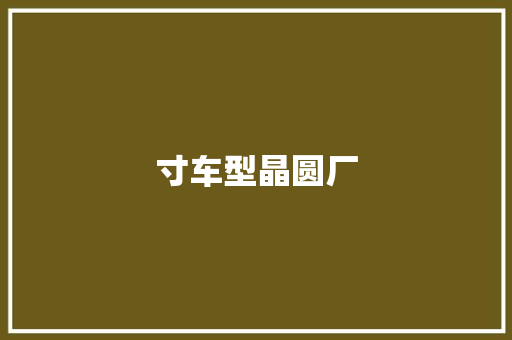 寸车型晶圆厂