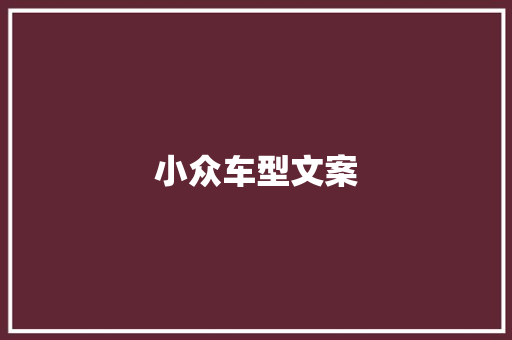 小众车型文案