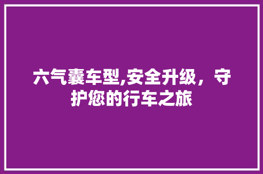 六气囊车型,安全升级，守护您的行车之旅