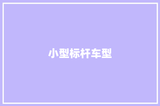 小型标杆车型