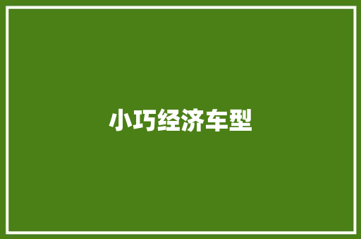 小巧经济车型