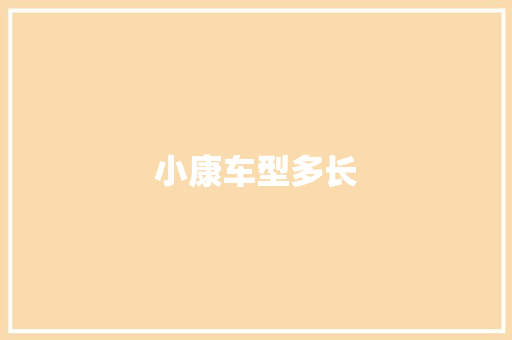 小康车型多长