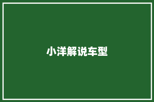 小洋解说车型