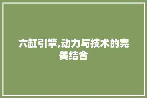 六缸引擎,动力与技术的完美结合