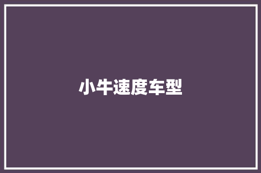 小牛速度车型