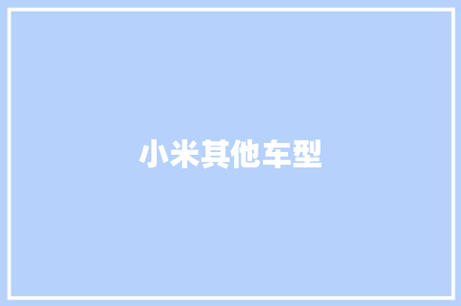 小米其他车型