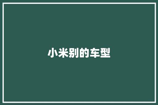 小米别的车型
