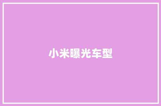 小米曝光车型