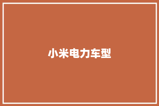 小米电力车型