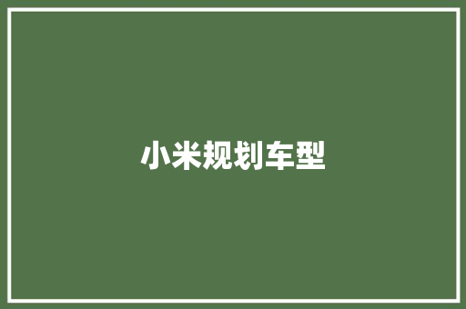 小米规划车型